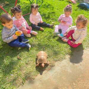 escola-particular-de-educacao-infantil-e-ensino-fundamental-santo-andre-abc-paulista-colegio-caminhar